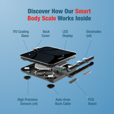 Smart Body Scale Works Inside